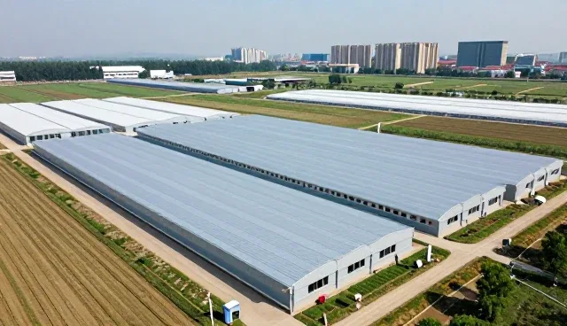 定制软件性能优化与适用条件的考量